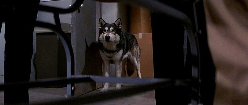 нечто фильм 2011